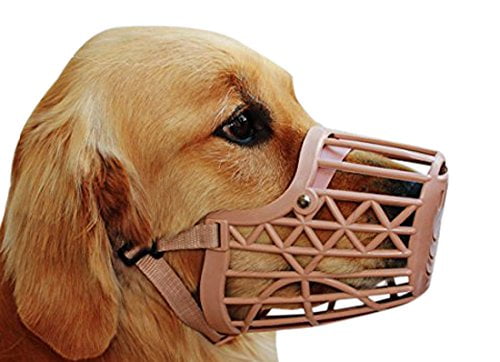 buy dog muzzle online