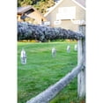 thumbnail image 3 of Metallic Marrakesh Star Solar String Lights (10 piece), 3 of 14
