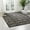 Charcoal, variant on Nourison Caribbean Indoor/Outdoor Charcoal 9'3" x 12'9" Area Rug, (9x13)