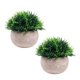 thumbnail image 1 of Mini plantas artificiales, césped verde falso de plástico, baño, oficina en casa, decoración de interiores, 1 of 5