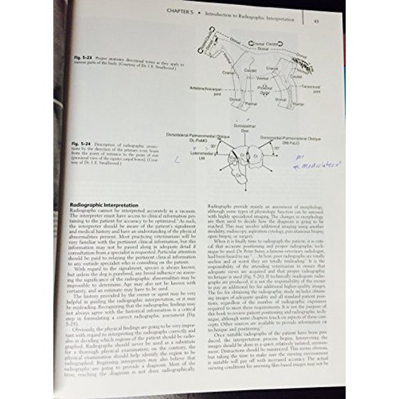 Pre-Owned Textbook of Veterinary Diagnostic Radiology, 9781455703647, 1455703648, Hardcover, 6 edition