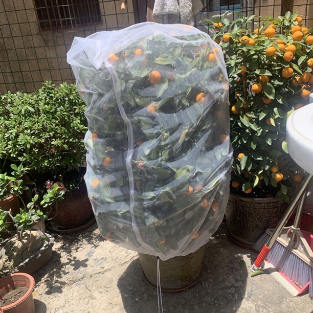 Bolsa de barrera para insectos, red antipájaros para plantas, malla transparente para frutas y verduras