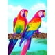 thumbnail image 1 of Taladro Pintura Diamante (DE6694) DIY 5D Mosaico Dos Loros Kit de Resina Redondo Completo Regalo 45x60cm FLhrweasw Nuevo, 1 of 1