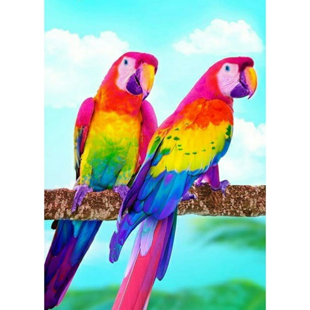 Taladro Pintura Diamante (DE6694) DIY 5D Mosaico Dos Loros Kit de Resina Redondo Completo Regalo 45x60cm FLhrweasw Nuevo