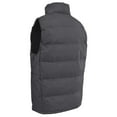 thumbnail image 2 of Trespass Mens Clasp Padded Gilet/Bodywarmer, 2 of 5