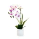 thumbnail image 1 of Advancent Bonsái falso duradero con buena sensación de la mano para arreglos artesanales exquisitos ramo Artificial Decoración del hogar BF2312089, 1 of 6