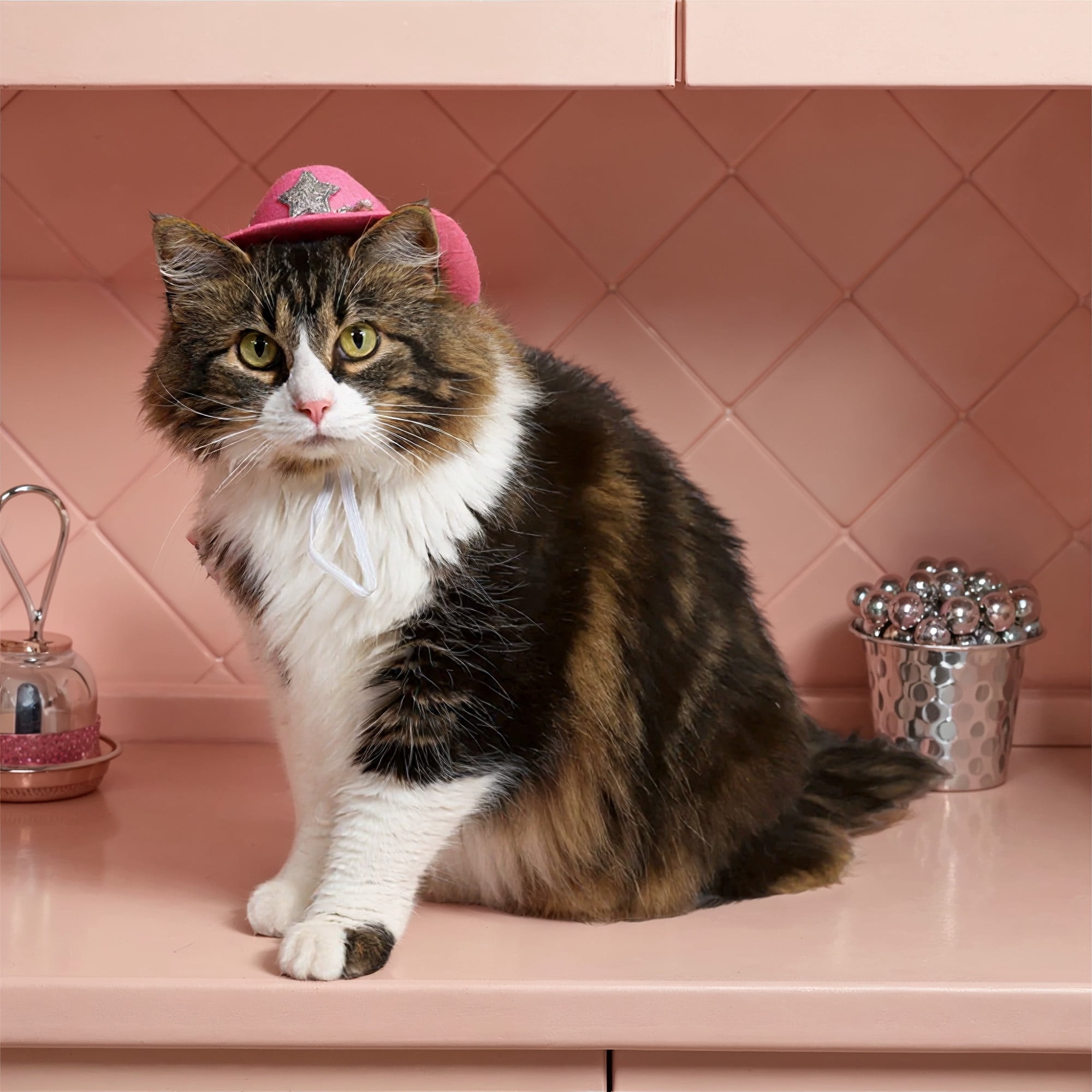 Vibrant Life Halloween Cowboy Hat Costume for Dogs & Cats, Pink, Extra Small/Small