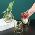 thumbnail image 3 of Golden Glass Vase Terrarium Geometric Iron Line Vase Hydroponic Plant Flower Vase Metal Plant Holder Home Decor Modern, 3 of 5
