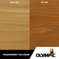 Olympic WaterGuard 1 gal. Acorn Brown Transparent Exterior Wood Stain