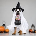 thumbnail image 7 of Roiihwy Halloween Dog Costumes, Ghost Cute Party Halloween Costumes Trick or Treat Party Cosplay White Ghost Costume for Dog Cat, 7 of 7