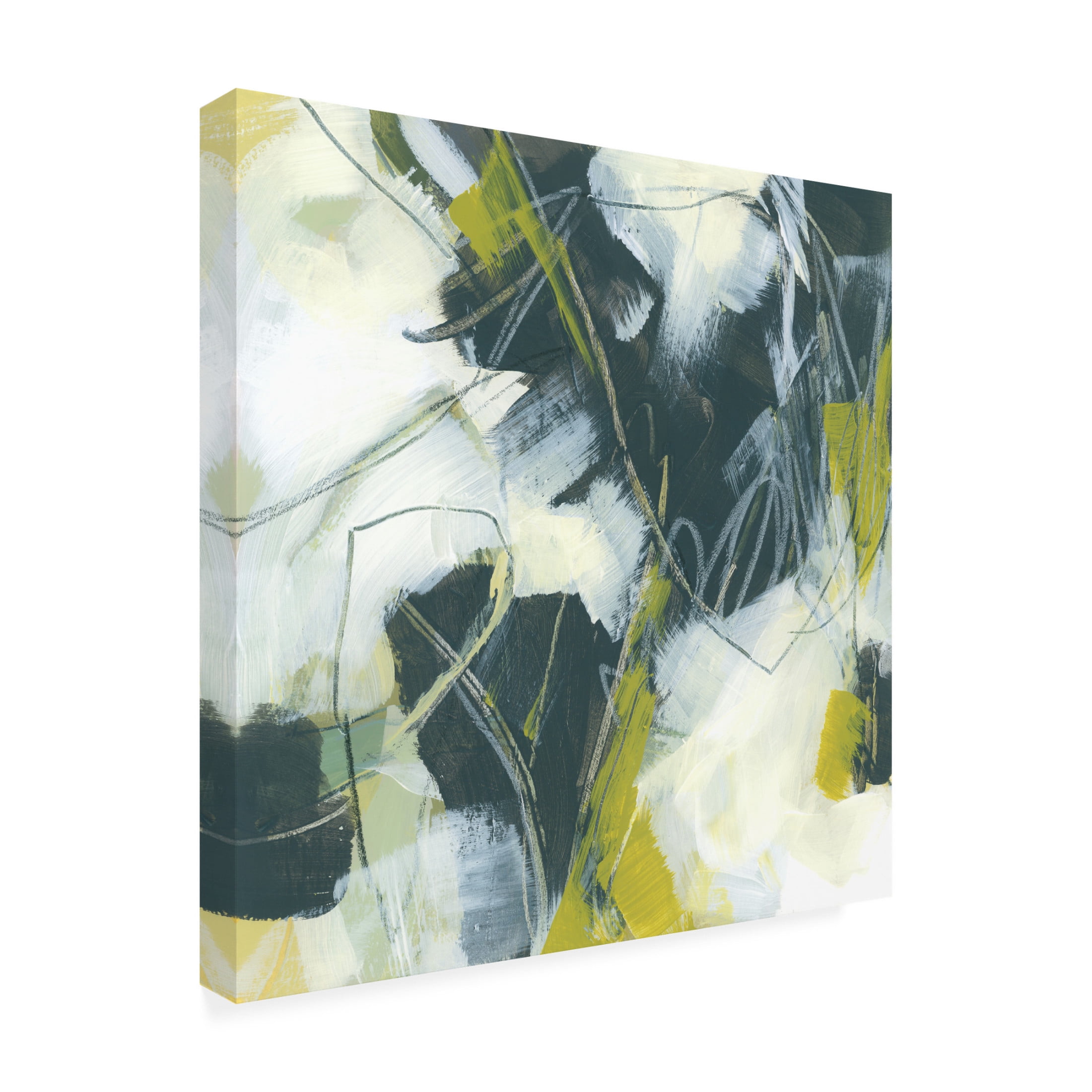Trademark Fine Art June Erica Vess  Citron Synergy IV Canvas Wall Art