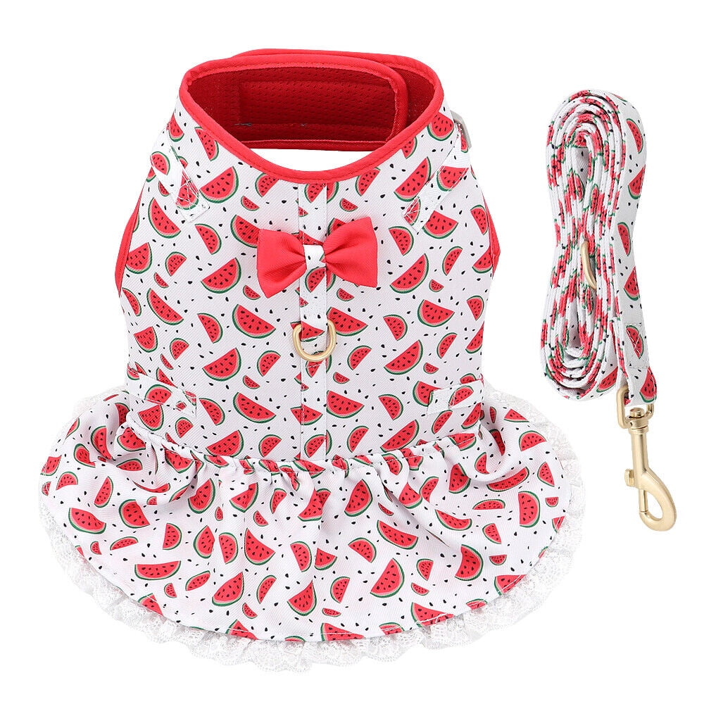 Didog Female Dog Harness Dress and Leash Fancy Small Pet Cat Summer Vest Clothes Yorkie