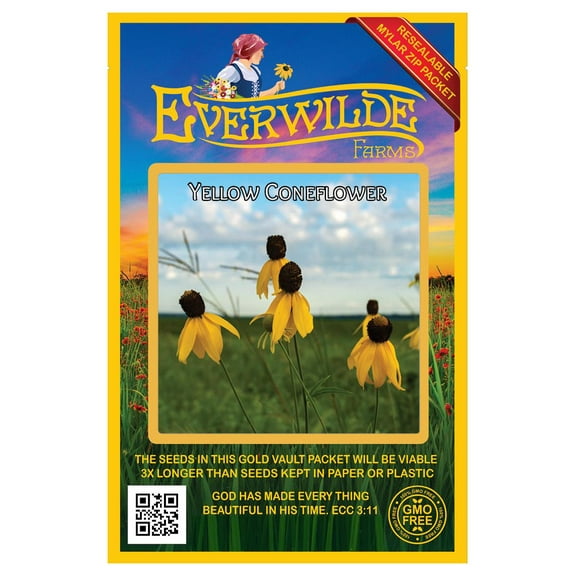 Everwilde Farms - 2000 Yellow Coneflower Native Wildflower Seeds - Gold Vault Jumbo Bulk Seed Packet