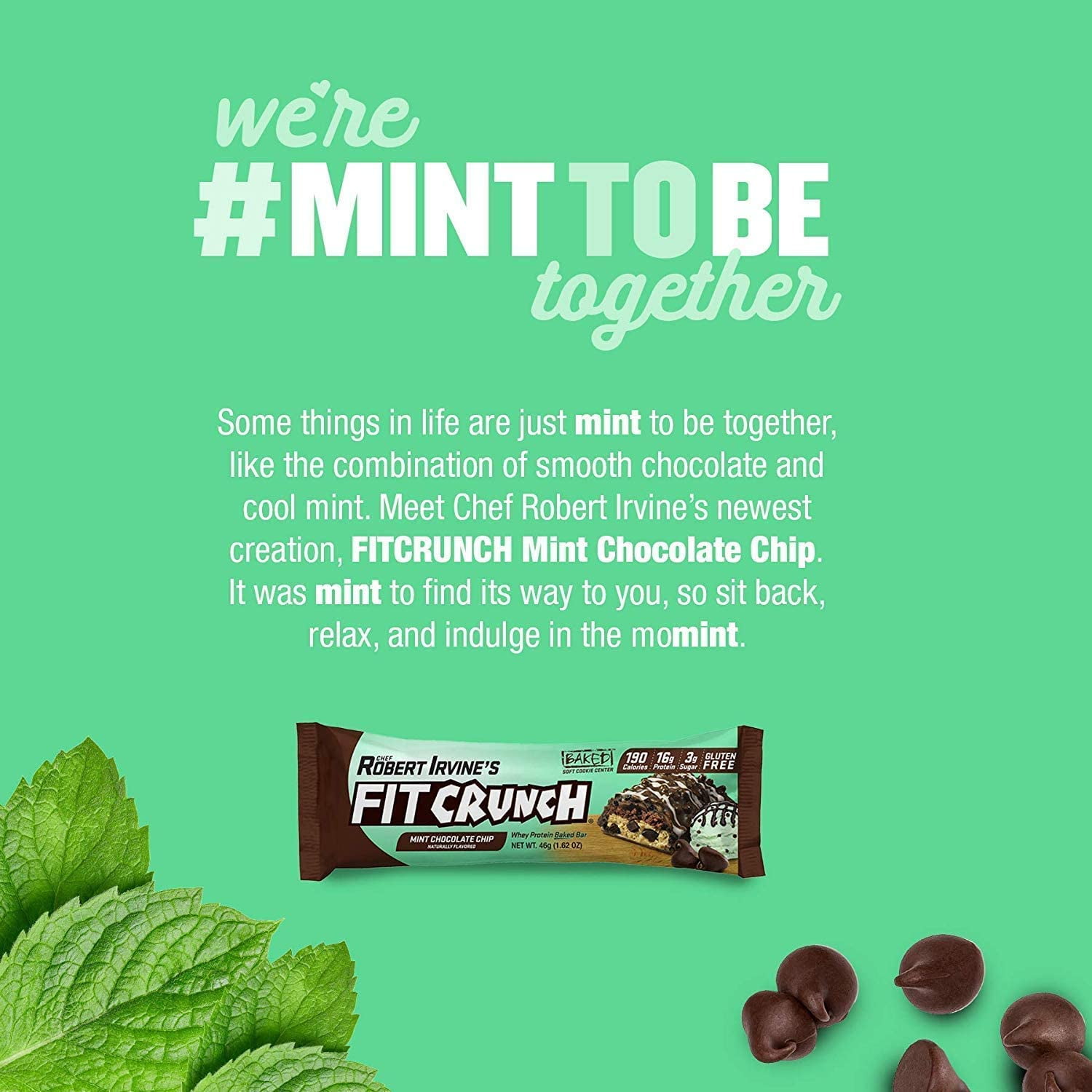 Fit Crunch Snack Sized Protein Bars 46g (9 Count, Mint Chocolate Chip)