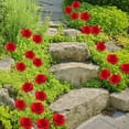 thumbnail image 4 of 2 piezas de decoración de jardín de patio, simulación de flores, rosas, complemento de decoración de jardín., 4 of 7