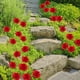 thumbnail image 4 of 2pcs Courtyard Garden Decoration Simulation Flower Rose Decoration Plugin Garden Decoration, 4 of 7