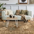 thumbnail image 4 of Superior Palmyra Floral Classic Indoor Area Rug, Beige, 7' x 9', 4 of 5