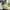 Green, variant on COSFO Crew Neck Men Shirts Casual Green Long Sleeve Colorblock Pullover Tshirts Shirts for Men