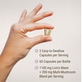 thumbnail image 3 of Live Conscious Lion's Mane Mushroom Blend, Cordyceps Turkey Tail & Reishi Herbal Supplement, Cognitive & Gut Health, for Men and Women, 30 Servings, 3 of 8