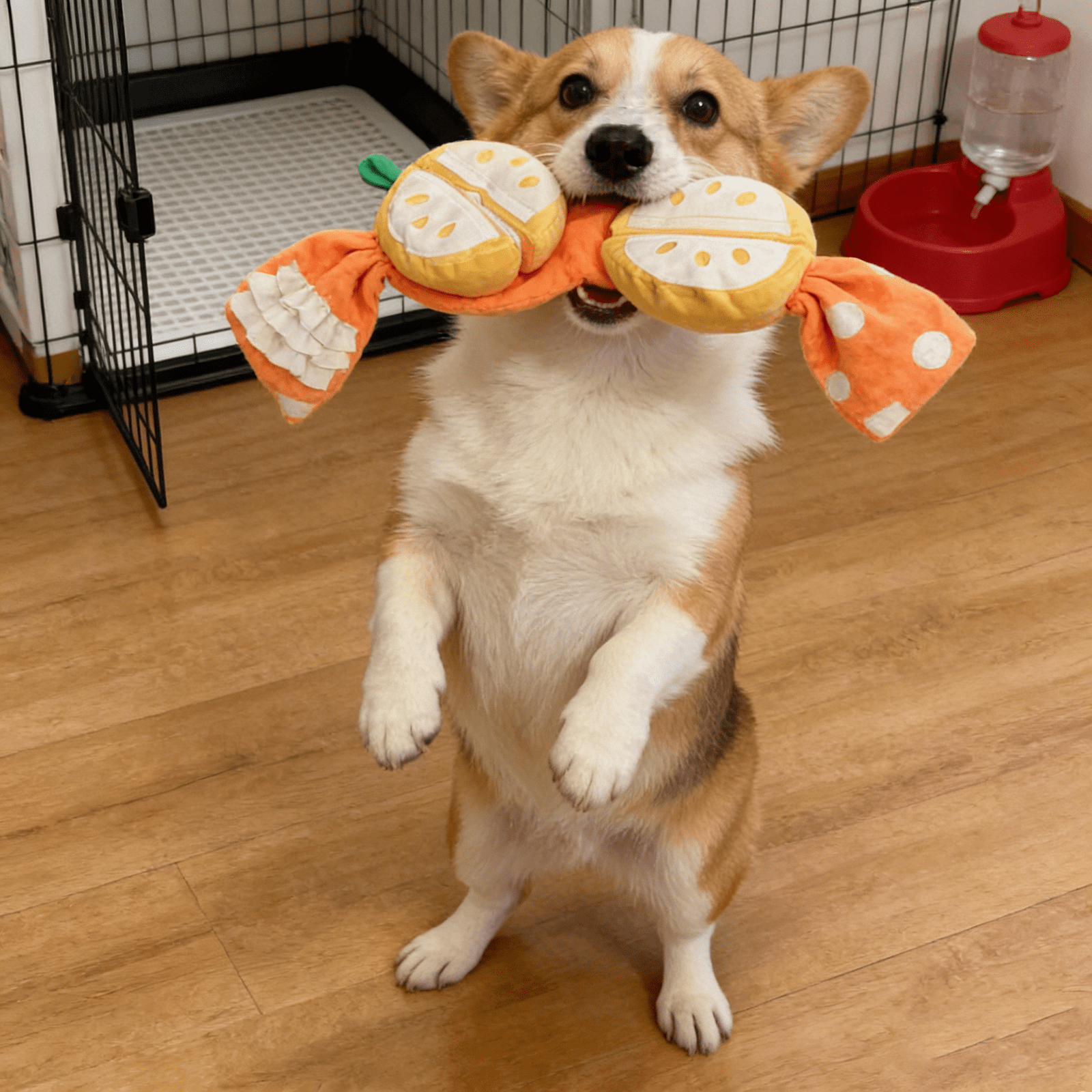 Interactive Dog Toy Plush Dog Toy Orange Polka Dot Plush Fabric Interactive BallforDogs Soft Play Dog ToyforPuppiesandAdult Dogs Single Pack