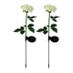 thumbnail image 2 of Lámparas solares con forma de rosa, impermeables, para jardín, iluminan el patio, regalo champán, 2 of 9