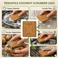 thumbnail image 6 of Natural Coconut Coir Kitchen Scrubber Pads, Biodegradable Non-Scratch Dish Scrubbers, 20 Count, 6 of 9