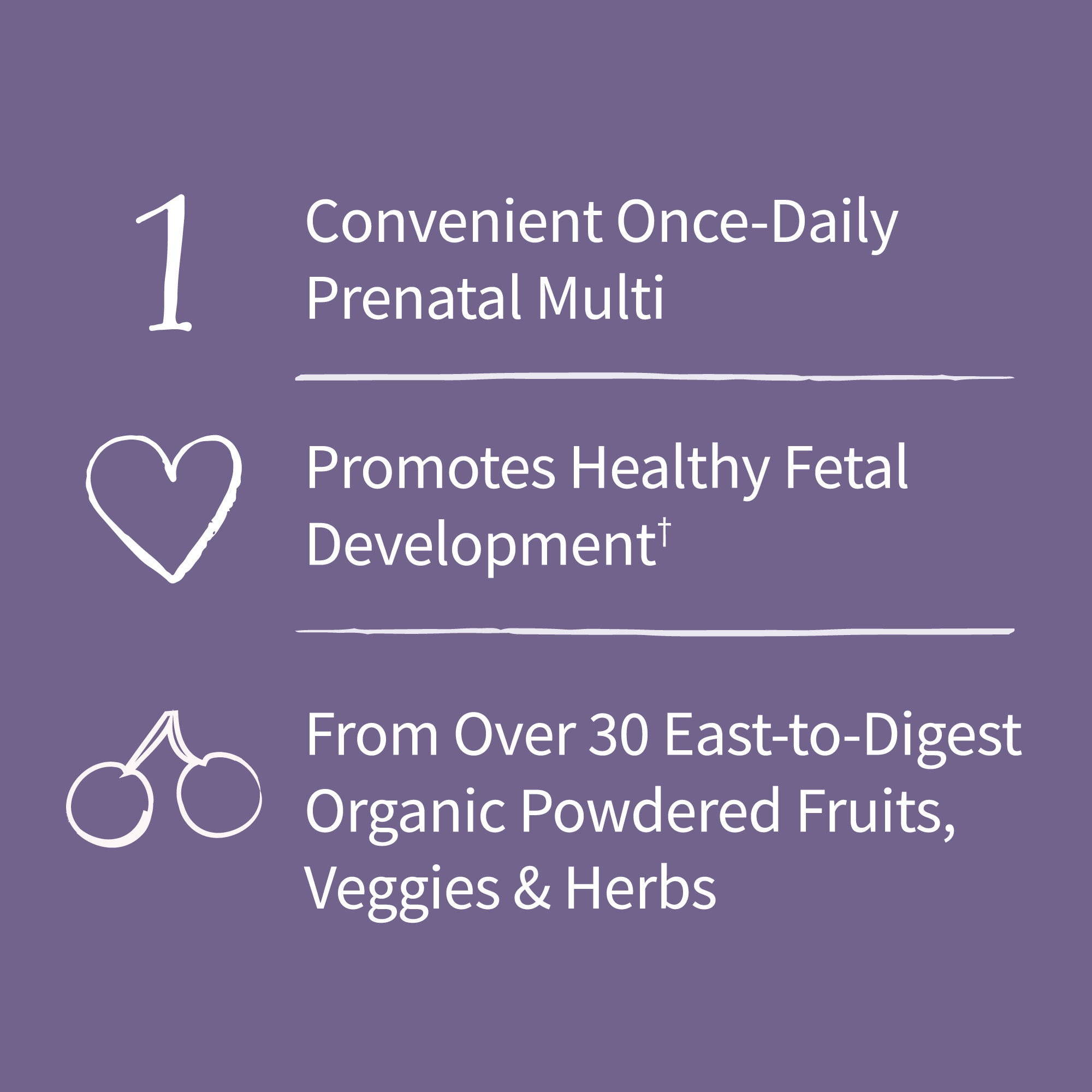 Garden of Life Organics Prenatal Multivitamin, with Folate and Vegan D3 - Once Daily for Pregnant & Lactating Women - 1 Month Supply