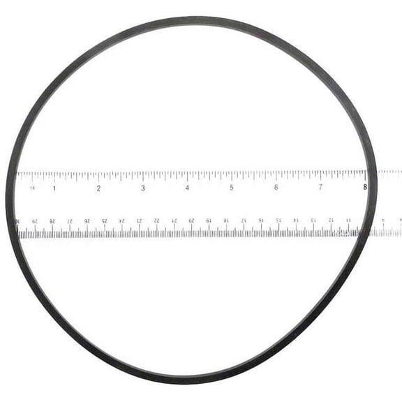 Purex Lid O-Ring