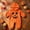 A05Orange, variant on Xdegoge Newborn Infant Baby Halloween Pumpkin Romper Hooded Fleece Jumpsuit Winking Face Cute Fall Winter Warm Outfit for Boys Girls
