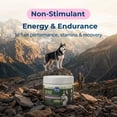 thumbnail image 3 of PetAg Dyne Soft Chews, Endurance and Vitality Supplement - 60 Chicken Liver Flavor Chews, 3 of 11