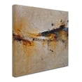 thumbnail image 3 of Trademark Fine Art "Tranquil Reflections" Canvas Art by CH Studios, 3 of 4