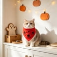 thumbnail image 5 of Halloween Pet Bandana with Skull and Spider Web Print, Dog Neck Scarf Holiday Party Costume Photography Decoration, Polyester, Red, 1 Count, 5 of 6