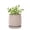 Light Brown, variant on 8 Inch Ceramic Beaded Stoneware Planter Pot - Flower Pot with Drainage Holes and Saucers for Indoor Succulent Plants or Flowers, Pumpkin, 27-C-Q-J