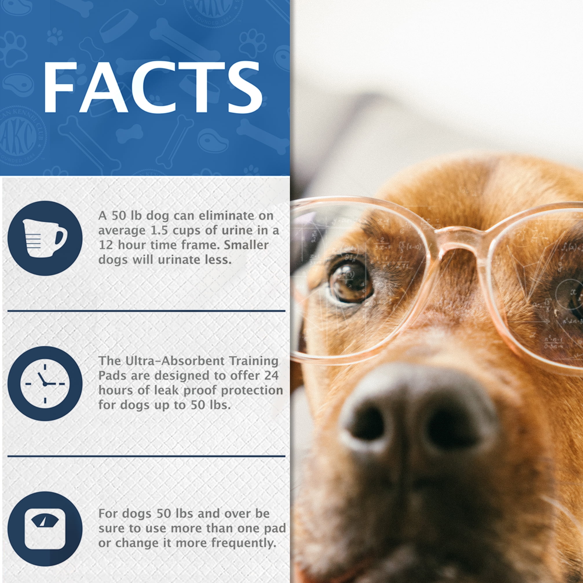 Akc ultra top absorbent training pads