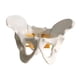thumbnail image 5 of Modelo de pelvis femenina, herramienta de demostración de aula de educación de aprendizaje para niños extraíble, ayuda didáctica para estudio de, 5 of 8