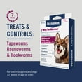 thumbnail image 5 of PetArmor For Dogs 7 Way De-Wormer For Medium & Large Dogs, 5 of 9