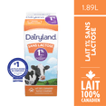 thumbnail image 2 of Dairyland Lactose Free 1% Partly Skimmed Milk, 2 of 7