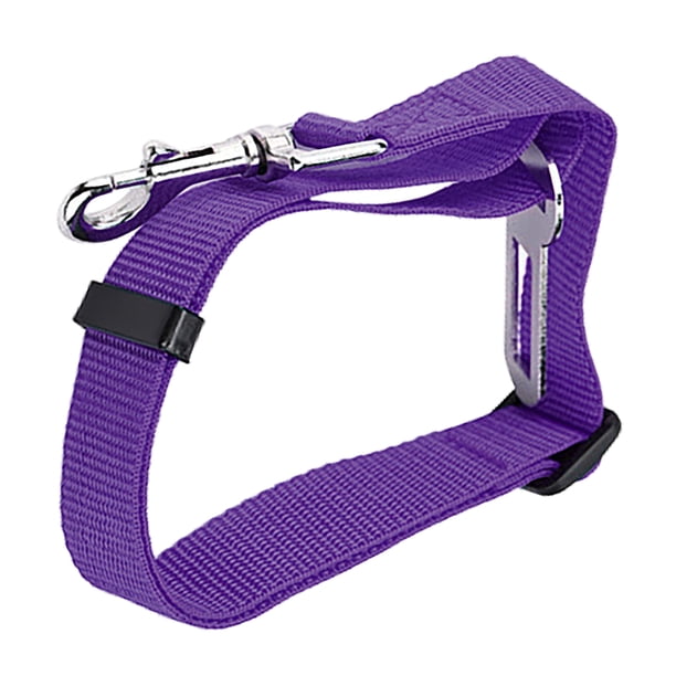 Cinturón de seguridad para perros 1 pulgada de ancho 17,7 a 28,3 pulgadas Cinturón de seguridad retráctil de nailon resistente de aleación ABS para asientos de vehículos Seguridad Púrpura