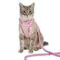 thumbnail image 2 of Oodles Iridescent Cat Walking Harness & Leash Set, Pink, One Size, 2 of 10