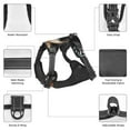 thumbnail image 6 of Fotbe Urban Bear With Headphones Pattern Dog Harness, No-Pull Pet Harness with 2 Leash Clips, Adjustable Soft Padded Dog Vest with Easy Control Handle for Large Dogs-Medium, 6 of 6