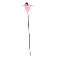 thumbnail image 1 of Plantas en miniatura CUTICAT 12 jarrones para decoración rosa, 1 of 7