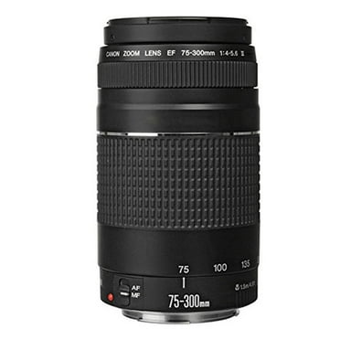 Canon EF 75-300mm F/4-5.6 III Lens