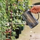 thumbnail image 5 of Regadera para plantas de interior y exterior, flores de jardín, latas de agua pequeñas y modernas, caño largo, negro transparente, 5 of 14