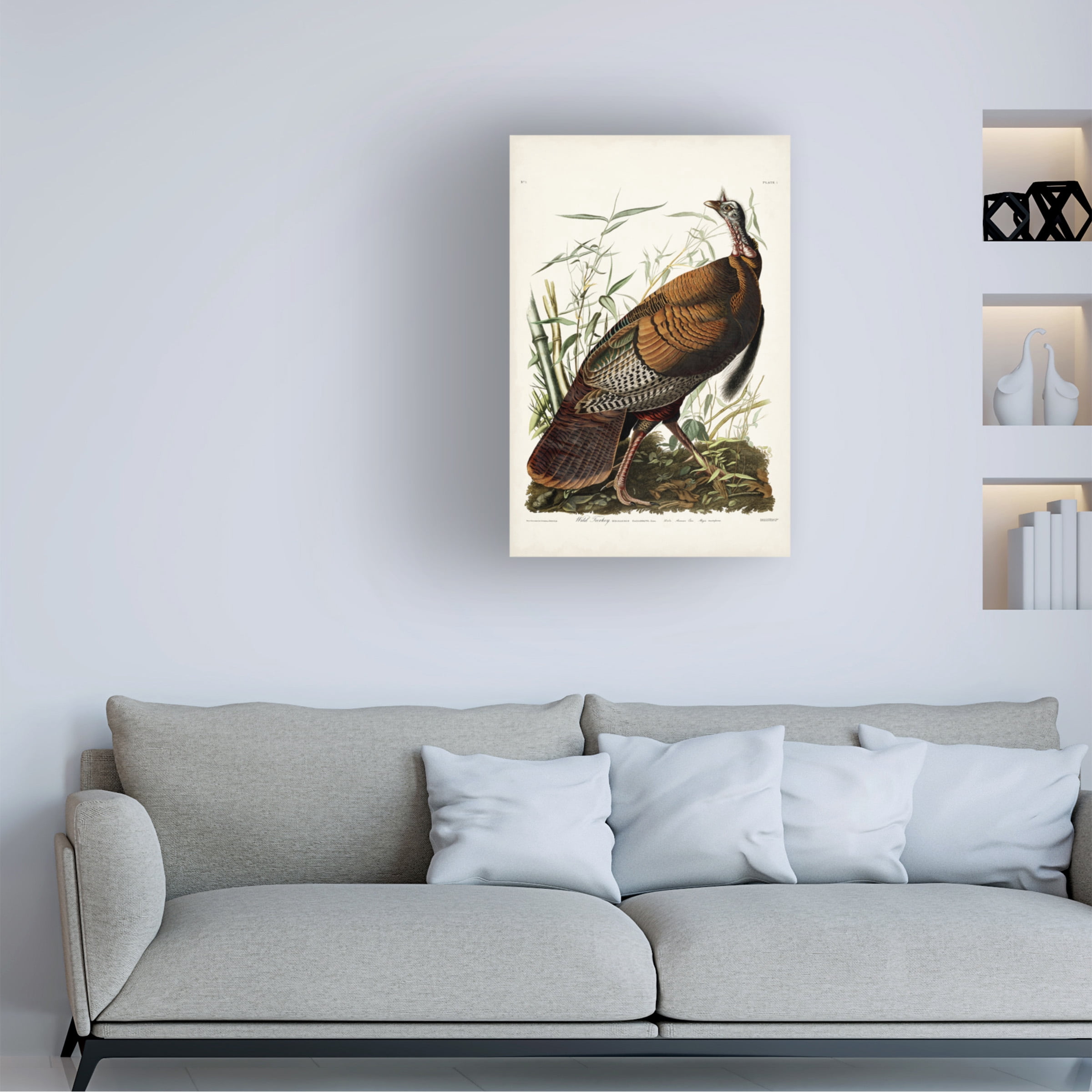John James Audubon 'Wild Turkey' Canvas Art