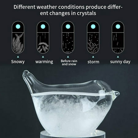 

2PC Home Decor Liquid Desktop Weather Forecaster 30ml Glass Barometer Room Decor Wall Bedroom Bathroom Kitchen Living Room
