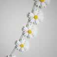 thumbnail image 2 of Daisy Garland, 2 of 2