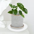 thumbnail image 4 of unbranded 6Ud Redondos Para Plantas Con Material Antidesgaste Para Hogar, 4 of 8