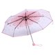 thumbnail image 1 of 1 paraguas plegable transparente de moda con diseño de princesa en flor de cerezo, color rosa, 1 of 15
