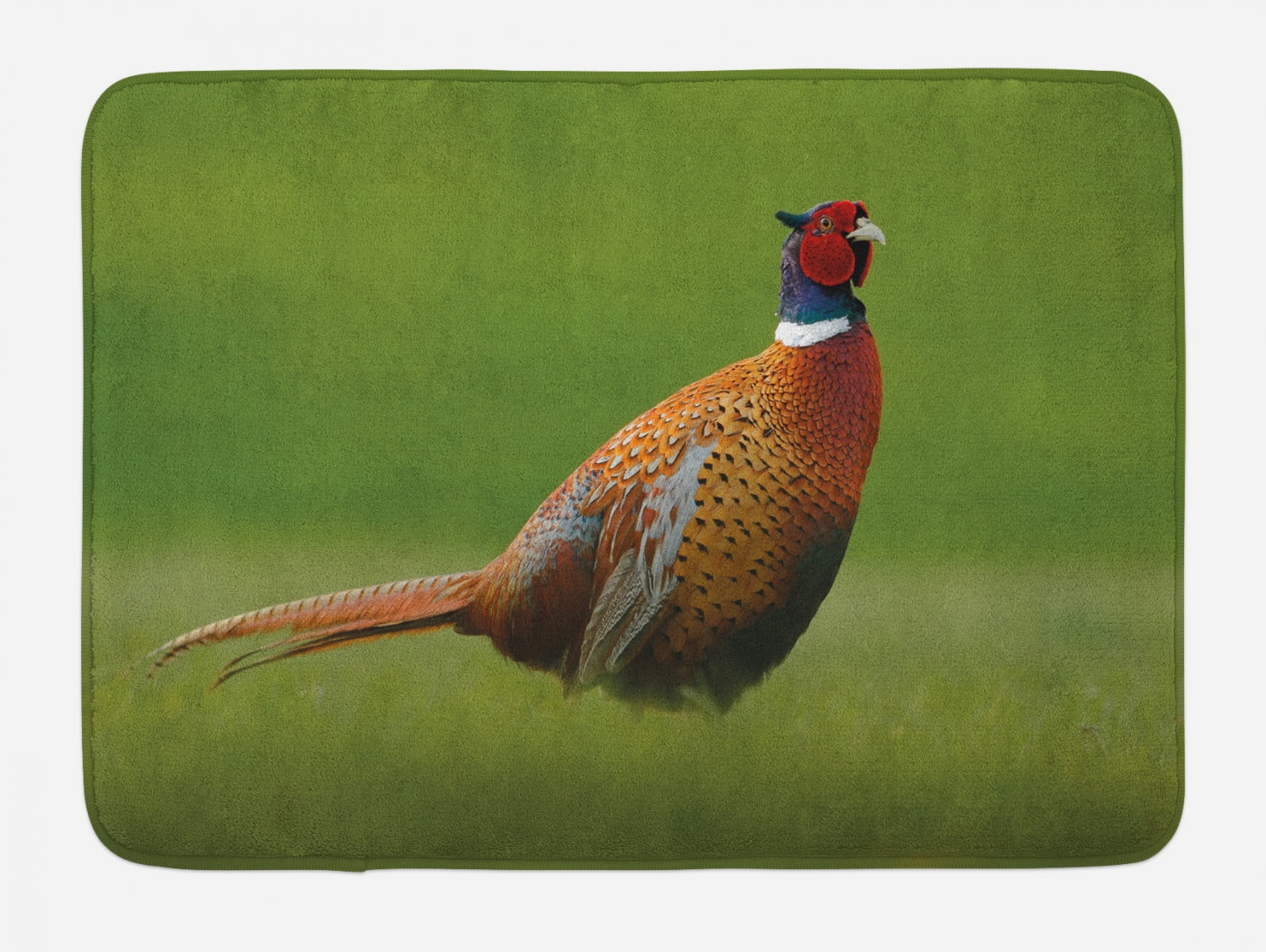 Bird Bath Mat, Common Pheasant with Long Tail on the Green Grass Meadow ...