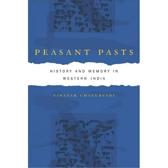 Peasant Pasts : History and Memory in Western India (Edition 1) (Paperback)